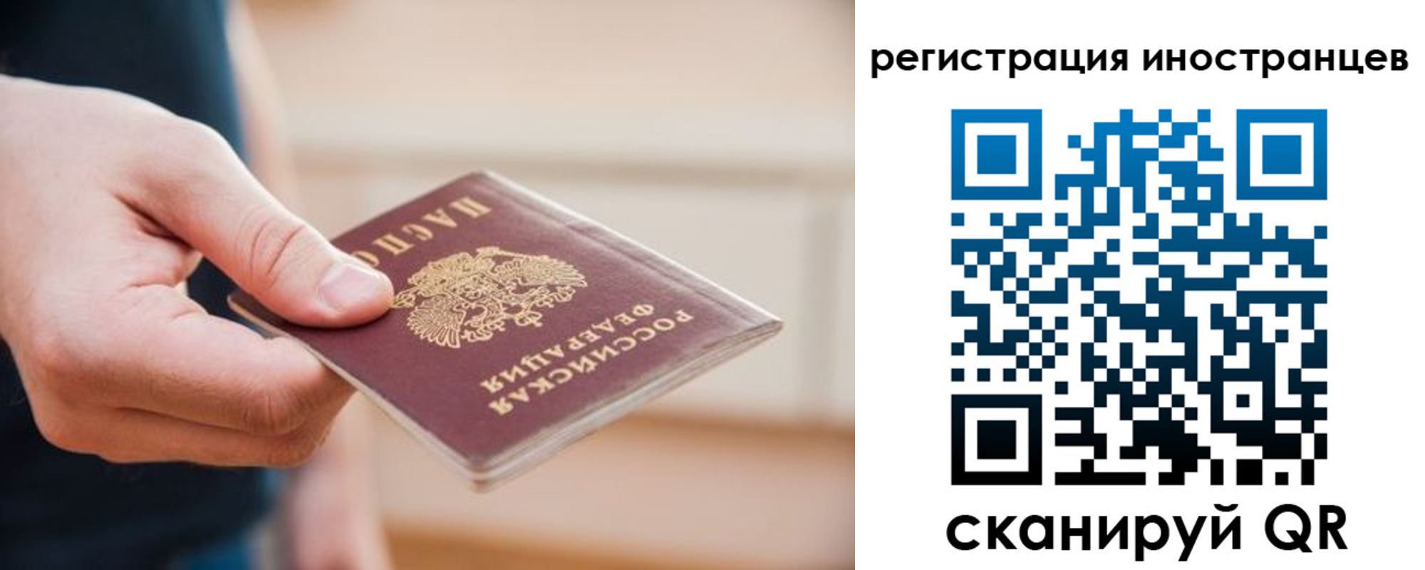 прописка гарантия в Ростовской области